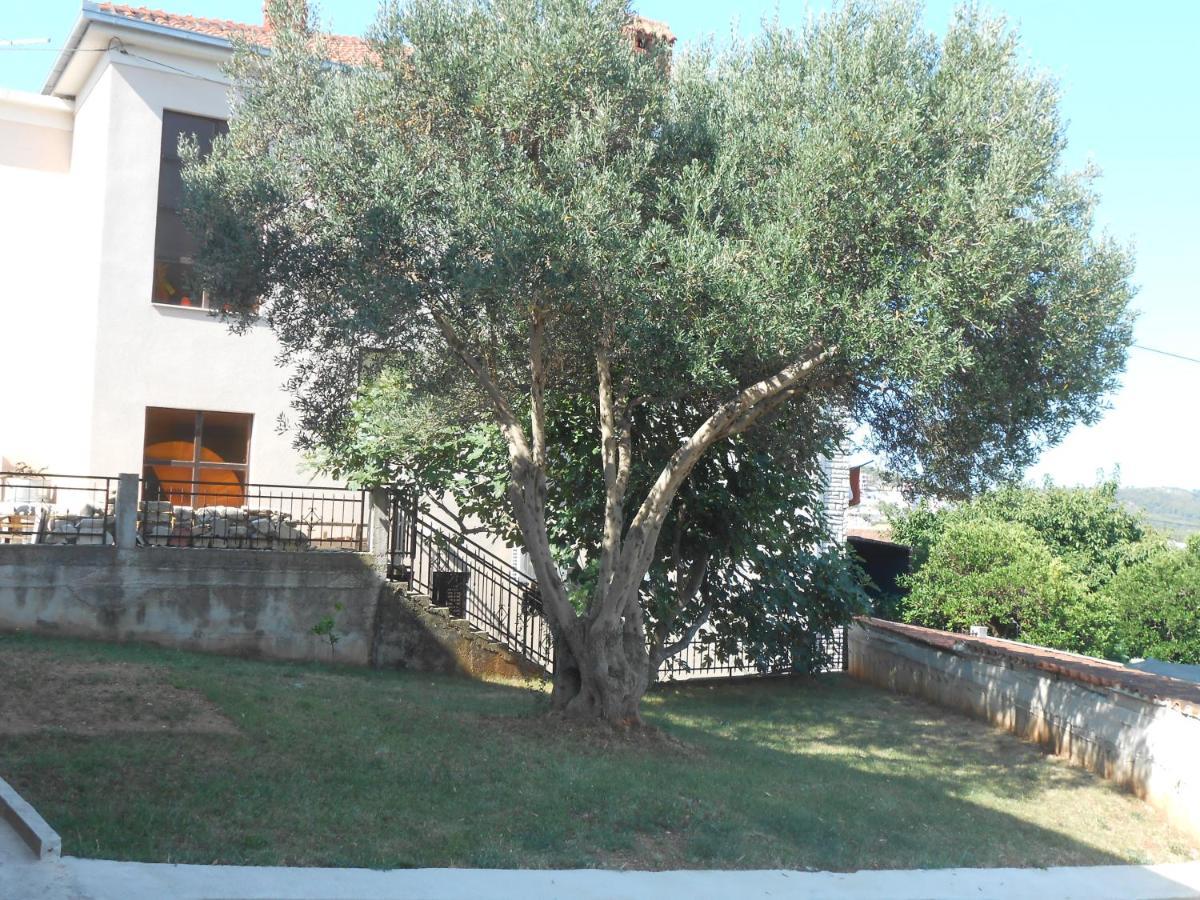 טרוגיר Apartments With A Parking Space Okrug Gornji, Ciovo - 13859 מראה חיצוני תמונה